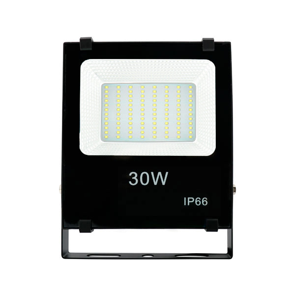 Foco proyector LED SMD Pro 30W 110Lm/W